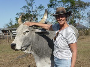 Henderson Brahman grey and Jenn