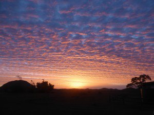 Henderson sunrise sm